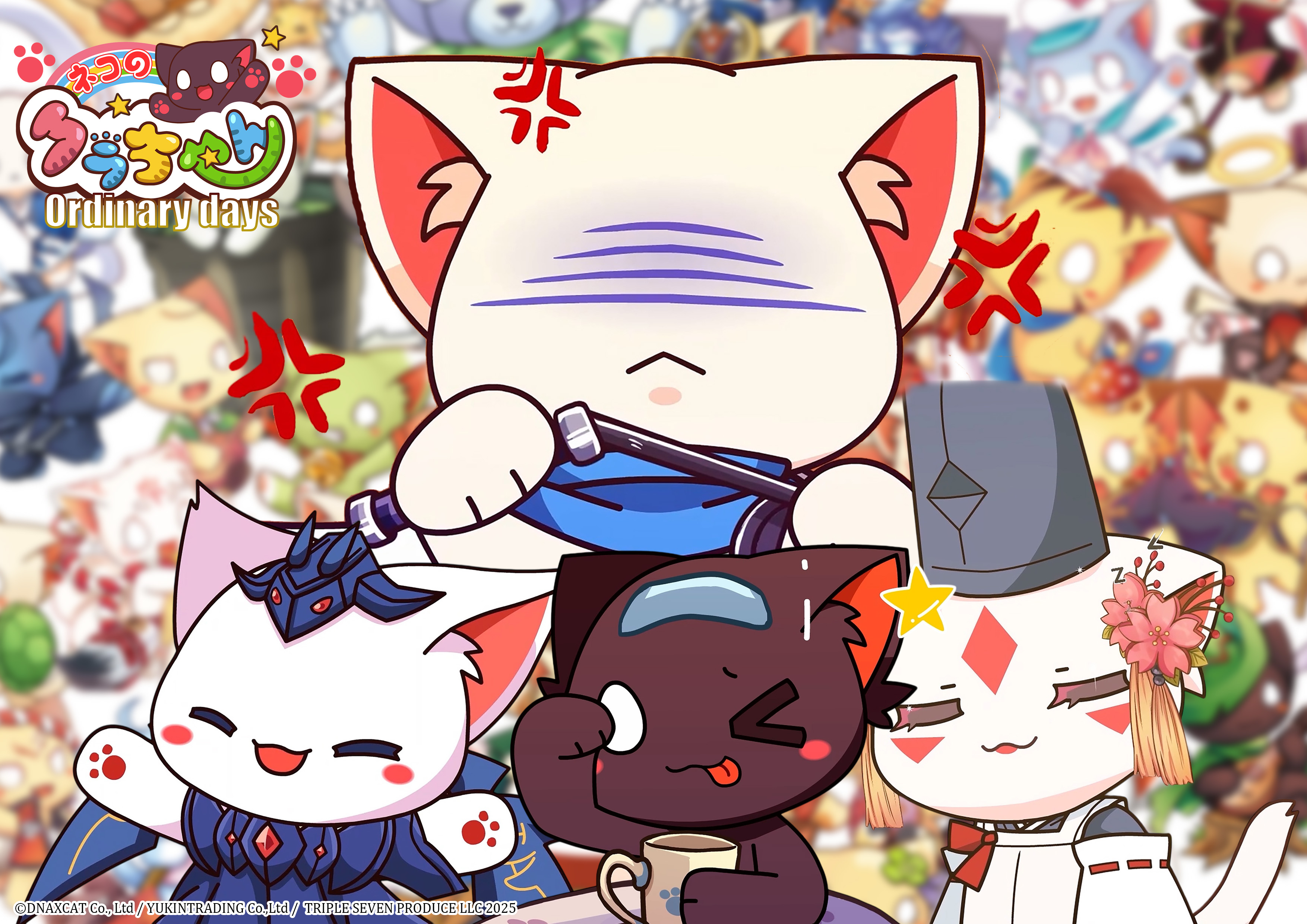 ネコのクラちゃん